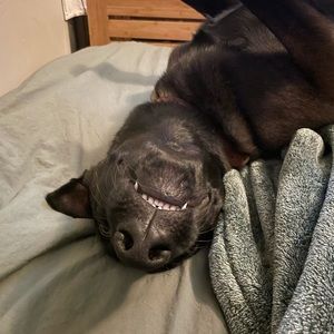 Meet your Posher, Brianna